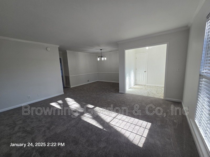 Beautifully Renovated Three Bedroom in Bellevue! property image